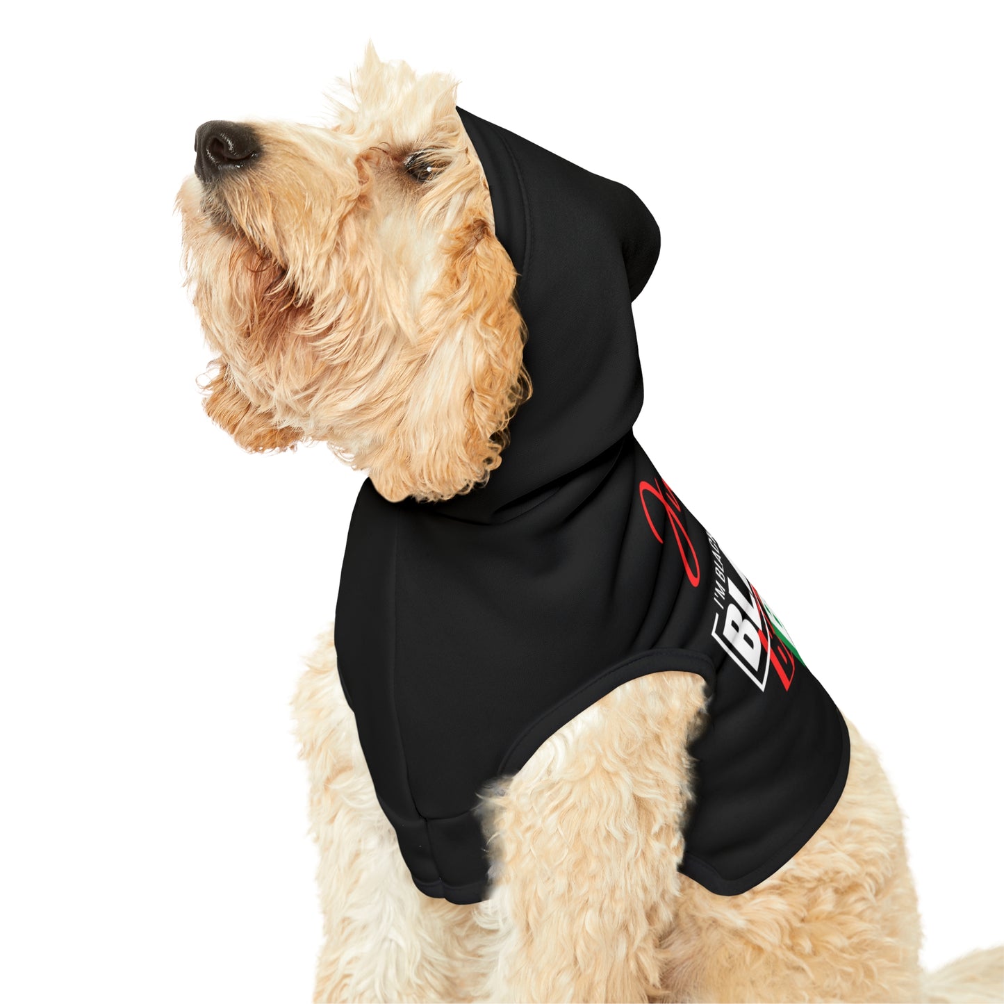 Sudadera con capucha para mascotas Blackity Bark de Juneteenth