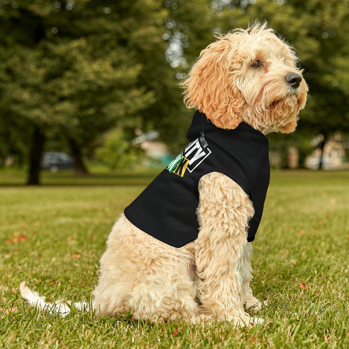 Sudadera con capucha para mascotas Blackity Bark